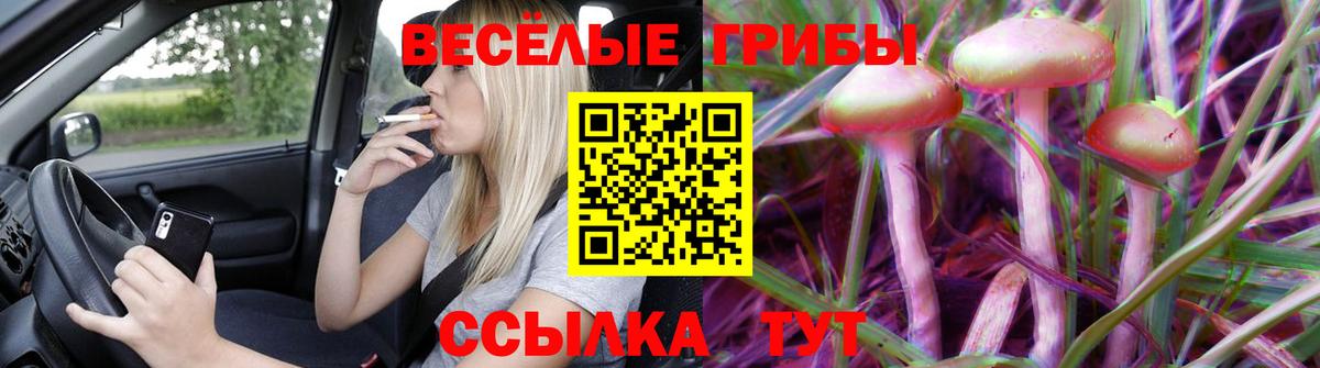 Галлюциногенные грибы Magic Shrooms  Галлюциногенные грибы Psilocybine cubensis  Вход с VPN  как найти закладки  Малгобек 